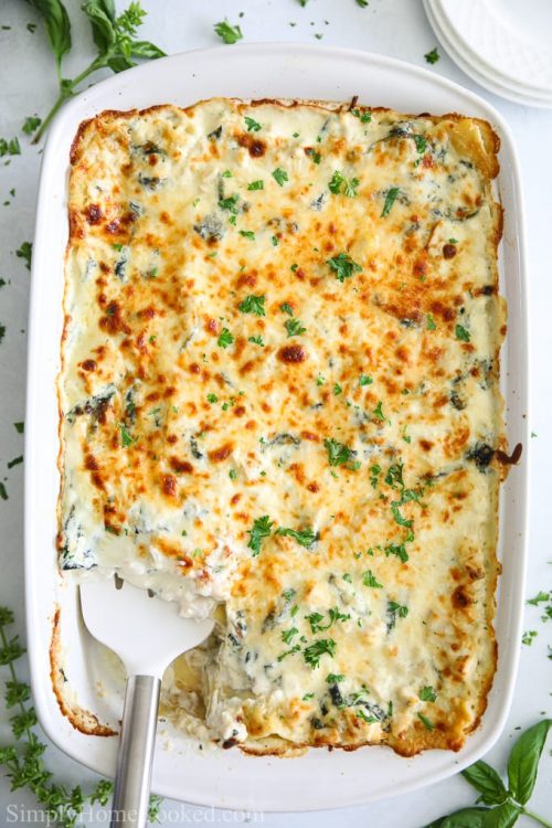 Chicken-alfredo-lasagna-12