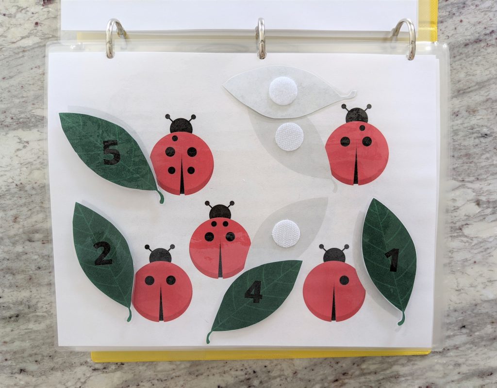 Ladybug Numbers